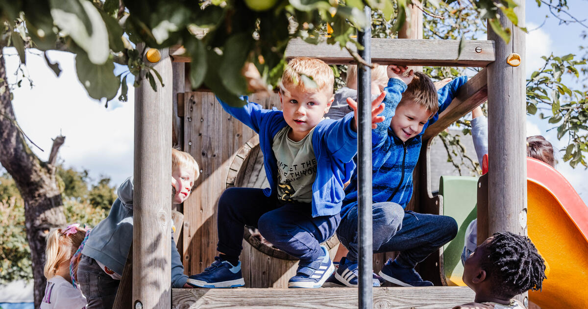 De Grobbendonkse Mariaschool vergroeningstraject ‘Groene Oases’ 