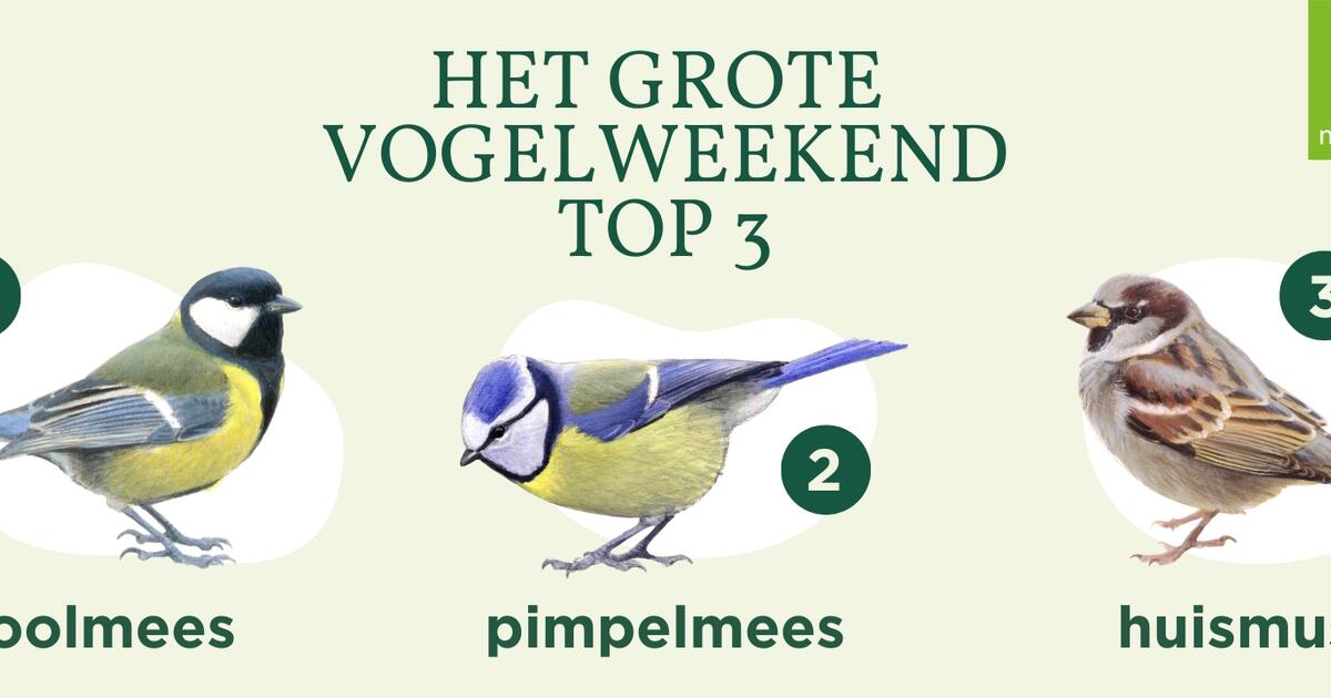 beeld Natuurpunt