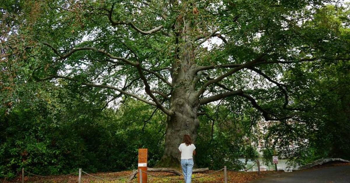 Regionaal Landschap Rivierenland, IOED Berg en Nete 