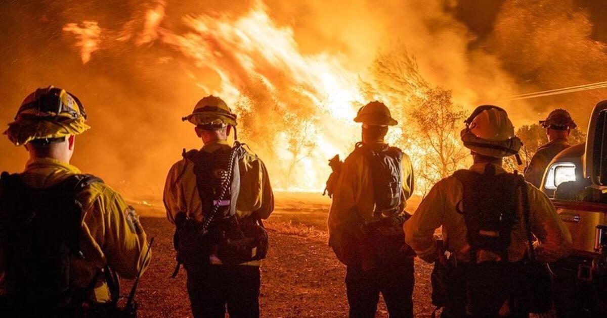 Bosbranden CA US - foto Los Angeles Fire Department 