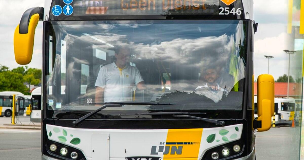de lijn foto