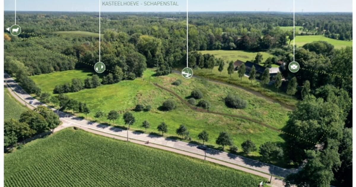 Ontdek zeldzame natuur tussen Grobbendonk en Vorselaar - foto VLM