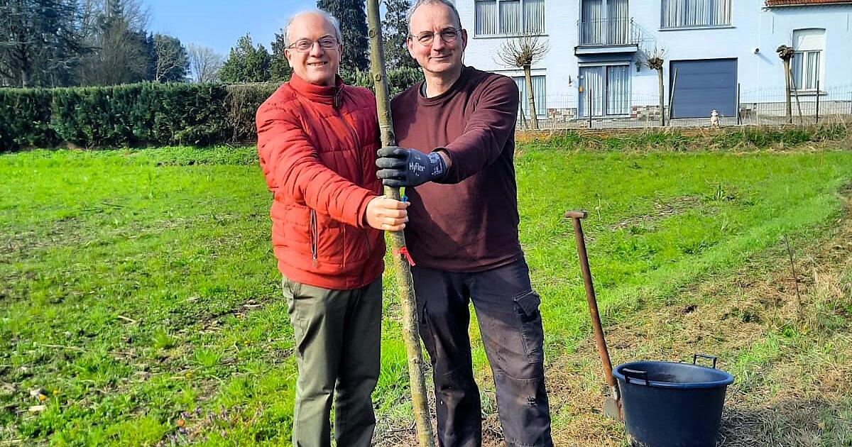 vzw Oakland Zandhoven 