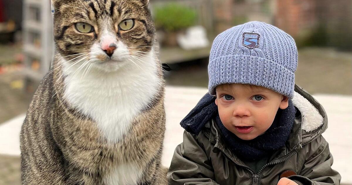 foto nnieuws