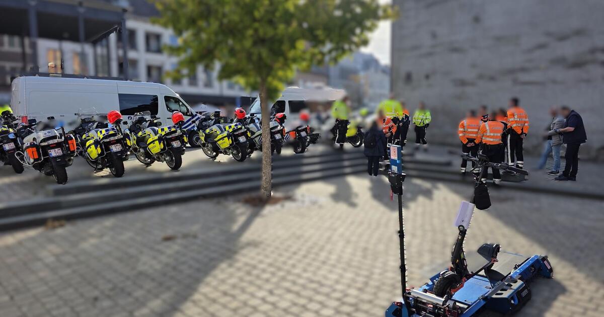 Politie Neteland Foto