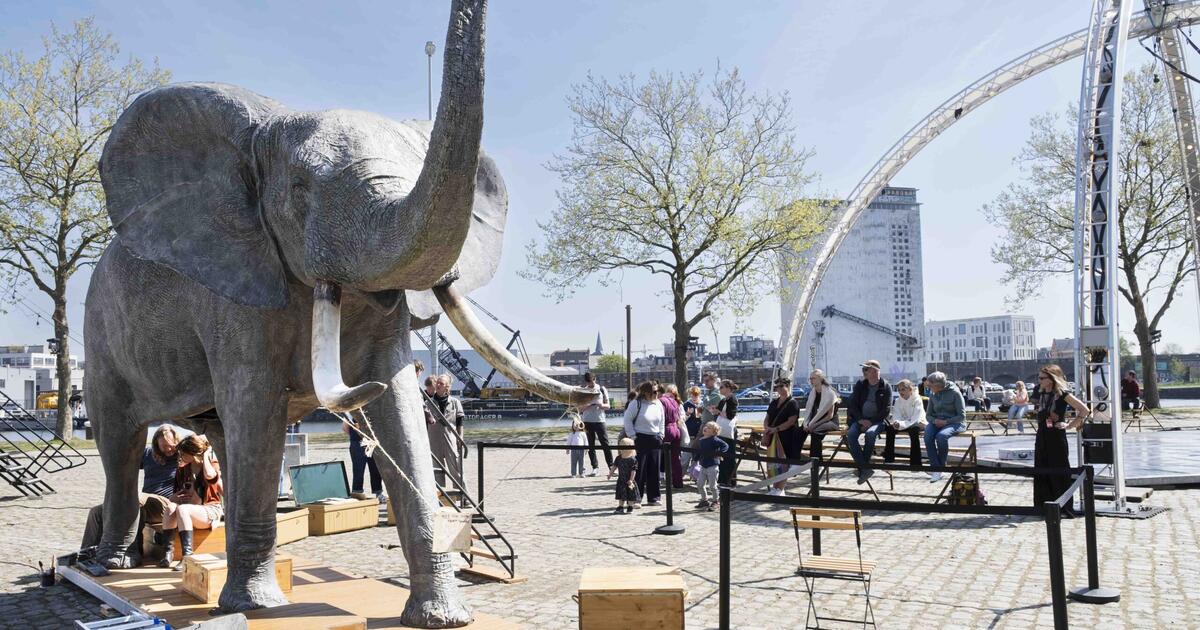 Tembo 