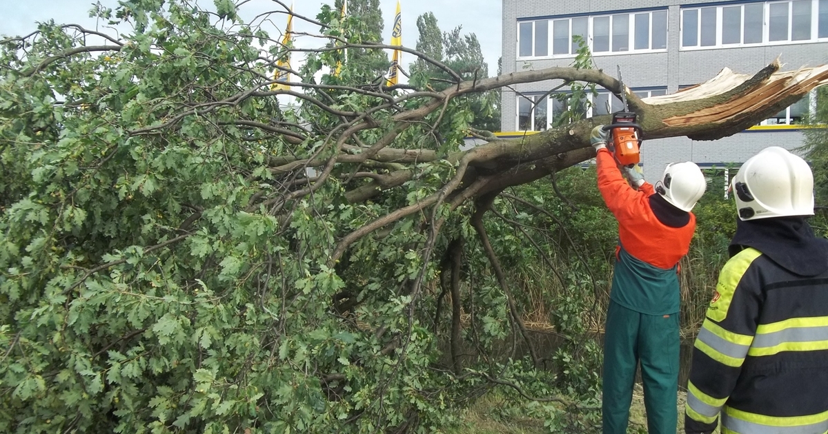 foto nnieuws rr