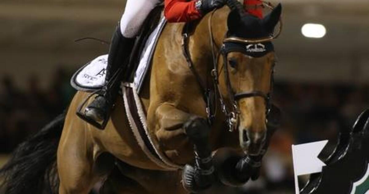 Foto © Tomas Holcbecher Equnews 